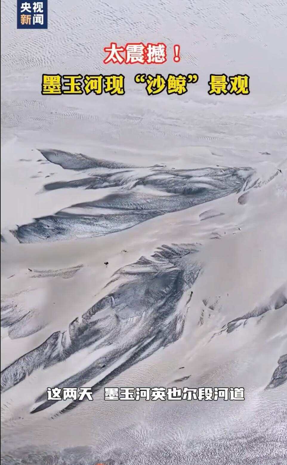 第1010页
